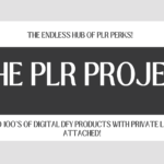 The PLR Project: 1 HUB for Unlocking Digital Success