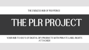 Read more about the article The PLR Project: 1 HUB for Unlocking Digital Success