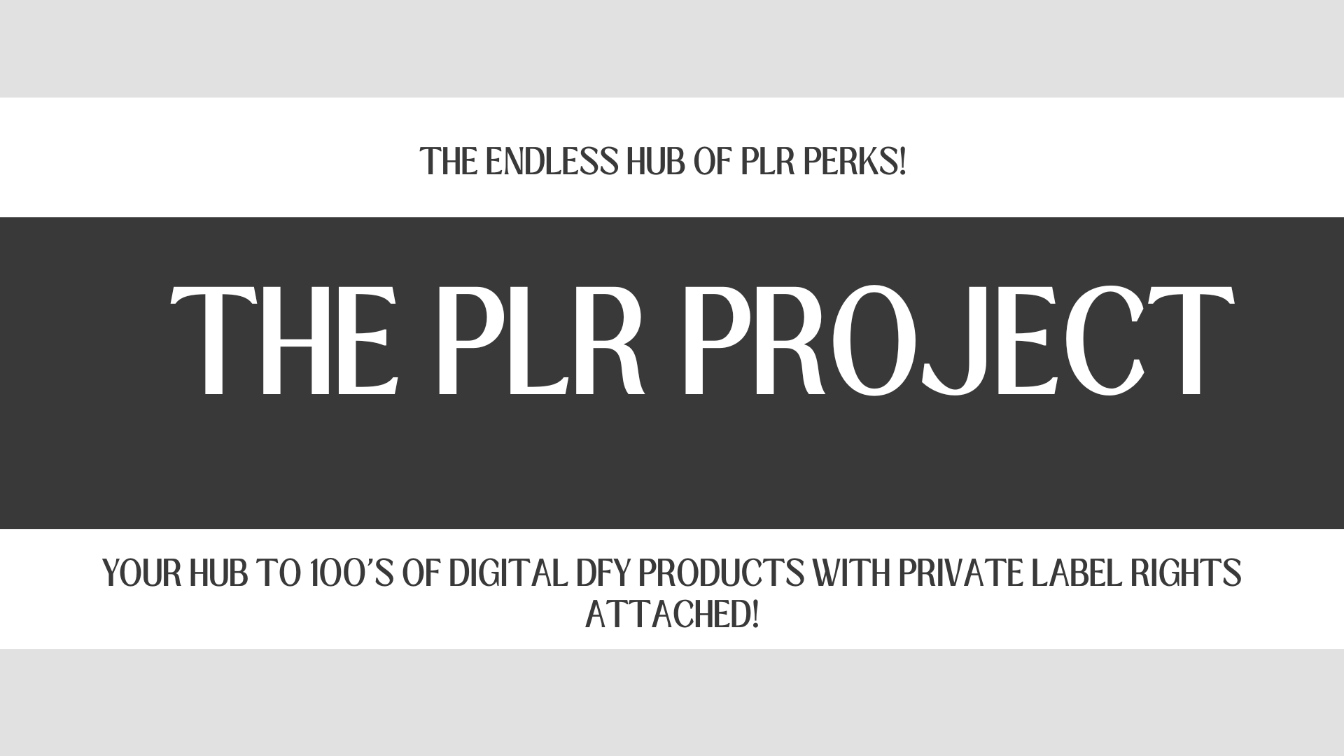 Read more about the article The PLR Project: 1 HUB for Unlocking Digital Success